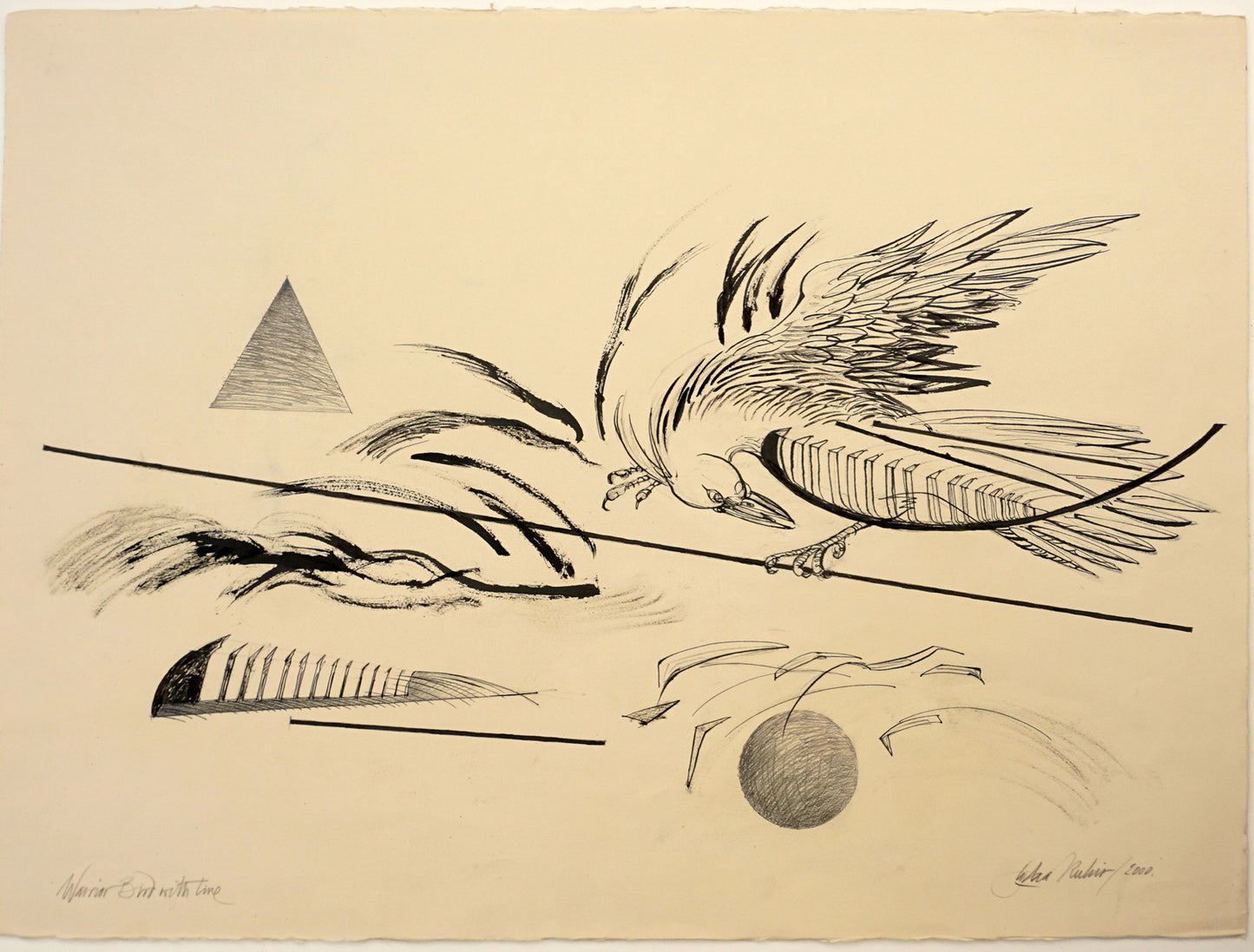 Warrior Bird With Line