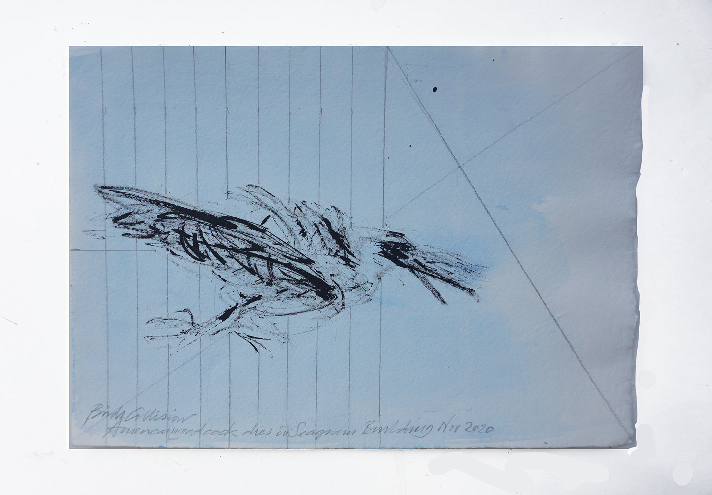 New York bird