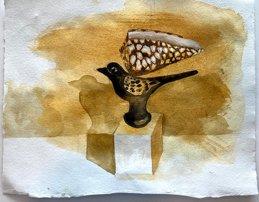 Shell and bird 9 of 10