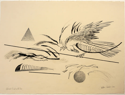 Warrior Bird With Line