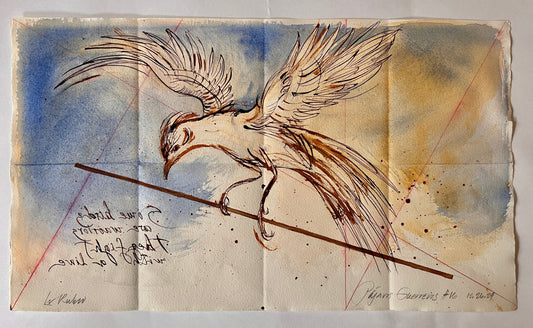 Warrior Bird #16