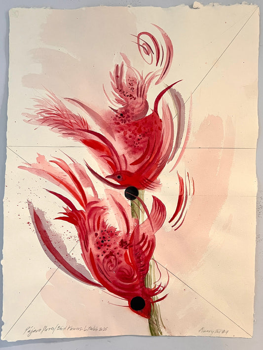Amaryllis #3