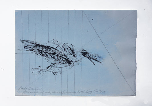 New York bird